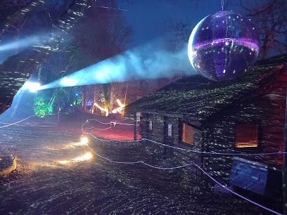 Forest of Light