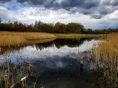 Rainton Meadows Nature Reserve