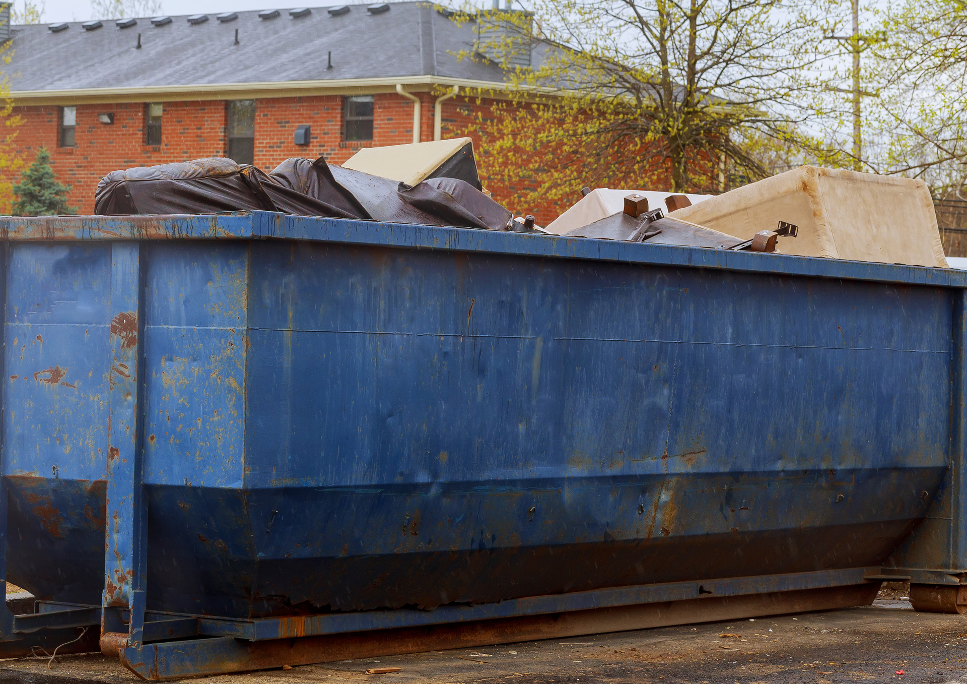 What to Consider When Searching for Local Skip Hire Near Me Services