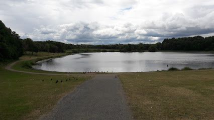 Springboard Adventure - Hetton Lyons Country Park
