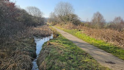 Tanfield View Pond